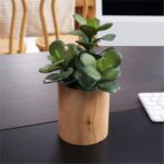 Artificial Succulents with Pots - Set of 3 Small Fake Plants for Aesthetic Room ... - Image 6
