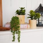 Artificial Succulents with Pots - Set of 3 Small Fake Plants for Aesthetic Room ... - Image 8