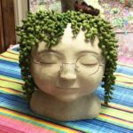 TIED RIBBONS 3 Pc Artificial Hanging Succulents Plants String of Pearls Plant Le... - Image 4