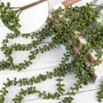 TIED RIBBONS 3 Pc Artificial Hanging Succulents Plants String of Pearls Plant Le... - Image 9