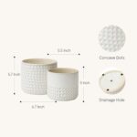 La Jolie Muse Ceramic Planter Flower Plant Pots- 6.7+5.5 Inch Concave Dot Patter... - Image 3