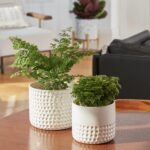 La Jolie Muse Ceramic Planter Flower Plant Pots- 6.7+5.5 Inch Concave Dot Patter... - Image 4