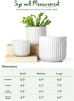 LE TAUCI Ceramic Planters, 8.3/7/6 Inch Indoor Pots for Plants with Drainage Hol... - Image 5