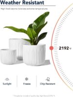 LE TAUCI Ceramic Planters, 8.3/7/6 Inch Indoor Pots for Plants with Drainage Hol... - Image 6