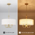 19" Transitional Gold Drum Chandelier, 5-Light Modern Luxury Design with Texture... - Image 6