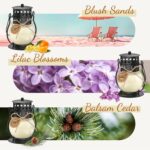 Scented Candles Gift Set - 3 Pack Candles for Home Scented Retro Lantern, Fall C... - Image 3