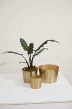 Gold Delicata Metal Planter Pot l Decorative Flower Pot with Scalloped Edge | Mo... - Image 5