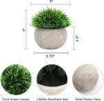 THE BLOOM TIMES 2 Pcs Small Fake Plants for Home Decor Indoor, Artificial Faux P... - Image 3