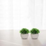 THE BLOOM TIMES 2 Pcs Small Fake Plants for Home Decor Indoor, Artificial Faux P... - Image 5