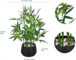365 Blooming Decor 18-inch Tall Potted ARTIFICIAL Bamboo Plant (Black Pot) - Lux... - Image 4