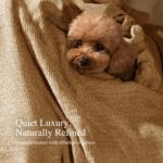 Chenille Throw Blanket for Couch, Cozy Soft Blanket Lightweight Decorative Throw... - Image 4