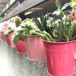 LaLaGreen Railing Planters Outdoor -10 Pack, 4 Inch Metal Hanging Flower Bucket,... - Image 4