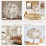 96PCS Natural Dried Pampas Grass Boho Home Decor Bouquet Phragmites Dried Flower... - Image 4