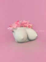 Elegant Boob Flower Pot, Feminine Bust Planter for Indoor Plants, Breast Vase fo... - Image 3