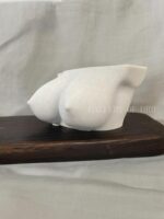 Elegant Boob Flower Pot, Feminine Bust Planter for Indoor Plants, Breast Vase fo... - Image 5