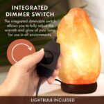 The Body Source Himalayan Salt Lamp 10-12 Inches (11-15lb) | Includes Dimmer Swi... - Image 4