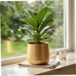 Flower Pots, Gold Planter, Metal Plant Pot with Elegant Brushed Finish for Indoo... - Image 4