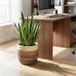 Ceramic Planter - 9.8 Inch Plant Pot for Indoor Outdoor Plants, Boho Ceramic Pla... - Image 4