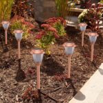 Solar Lights Outdoor - 8 Pack Copper Garden Walkway Lights Solar Powered Waterpr... - Image 5