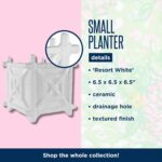 Lilly Pulitzer Small Planter for Indoor Plants or Flowers, Ceramic Pot with Drai... - Image 4