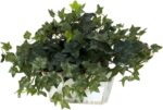 Pemberly Row Ivy Silk Plant, Green Faux Florals with White Wash Planter, 14 in H... - Image 3