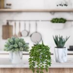 Winlyn Set of 3 Small Artificial Succulent Potted Plants Fake Aloe Hops String o... - Image 7