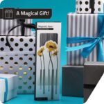 PELEG DESIGN Magnetic Bud Vase Set (Silver) - Unique Home Decor Gift & Modern Ta... - Image 6