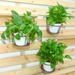 Dandat 6 Pcs 8.7'' Iron Metal Railing Flower Pot Hanging Planter Baskets Stair R... - Image 3