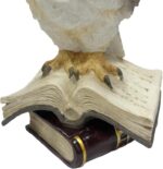 Nature's Mark Wise Owl on Stack of Books Figurine – 6.1" Realistic Owl Statue – ... - Image 5