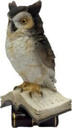 Nature's Mark Wise Owl on Stack of Books Figurine – 6.1" Realistic Owl Statue – ... - Image 8