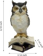 Nature's Mark Wise Owl on Stack of Books Figurine – 6.1" Realistic Owl Statue – ... - Image 9