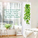 Fake Pothos in Rope - Hanging Pot, Artificial Pothos Plants for Home Decor Indoo... - Image 6
