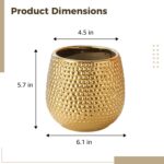6 Inch Golden Plant Pot, Small Succulent Planter for Indoor Plants, Tabletop Dec... - Image 5