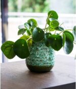 Ivyline 13cm Dia Contemporary Glazed Plant Pot with Textured Crackle Design Indo... - Image 3