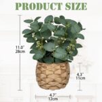 DILATATA Artificial Eucalyptus Stems in Woven Basket Planter, 11" Fake Plant Euc... - Image 3