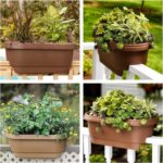 Bloem Deck Rail Planter, Balcony, Deck Balcony Rail Planter 24" Chocolate Brown ... - Image 3