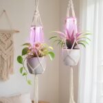 2 Pack Macrame Plant Hanger with Grow Light: Boho Hanging Planters with Light fo... - Image 2