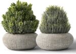 2 Pack Small Fake Plants in Cement Planter for Bathroom Decor, 6.1/5.7 Inch Arti... - Image 2