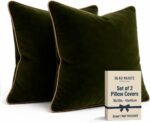 2 Pack Velvet Decorative Throw Pillow Covers, 18"x18", Green and Camel, Solid, M... - Image 2