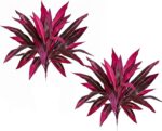 2PCS Large Realistic Artificial Boston Fern & Dragon's Blood Tree Plants, with V... - Image 2