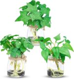 3 Pack Small Potted Plants with Faux Water, Real Touch Leaves Fake Plants in Gla... - Image 2