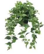 365 Blooming Decor Realistic Artificial Potted Pothos Ivy Plant(Devil's Ivy), Sc... - Image 2