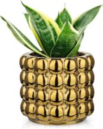 5 Inch Ceramic Planter Pot for Indoor Plants with Drainage Hole Bubble Flower Pl... - Image 2