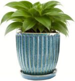 6-Inch Ceramic Plant Pots with Drainage Hole, Flower Pots Planters Pots for Indo... - Image 2