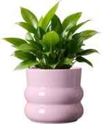 6 Inch Plant Pot,Ceramic Planter Pot with Drainage Hole,Indoor Planters for Herb... - Image 2
