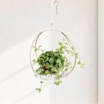 Adnkwolivt Mid Century Boho Macrame Metal Planter - Indoor/Outdoor Hanger, Conne... - Image 2