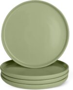 Amazon Basics Glazed Stoneware Dinner Plates, Ceramic 4-Piece Set, Microwave, Di... - Image 2
