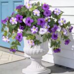 Ammyoo Artificial Fake Flowers Plants for Outdoor Decoration, 2PCS Faux Petunias... - Image 2