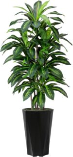 Artificial Dracaena Tree 5FT - Faux Plant with Black Diamond Planter - Tall Fake... - Image 2