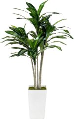 Artificial Dracaena Tree 5FT with White Tall Planter - Faux Tree Tall Fake Floor... - Image 2